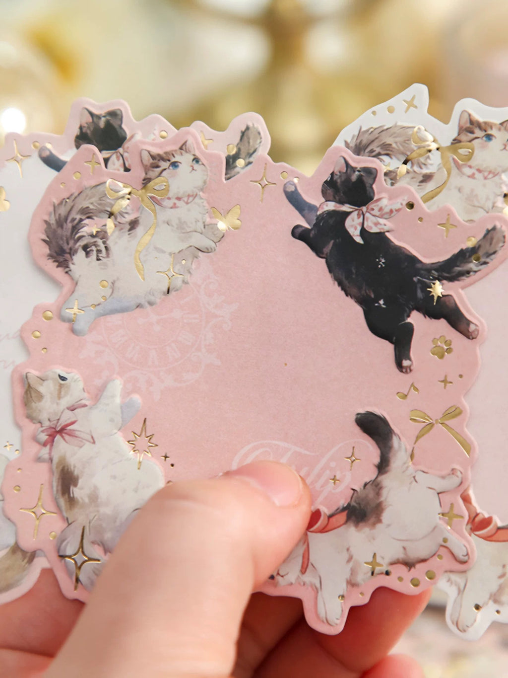 Chic Feline Sticky Note Set
